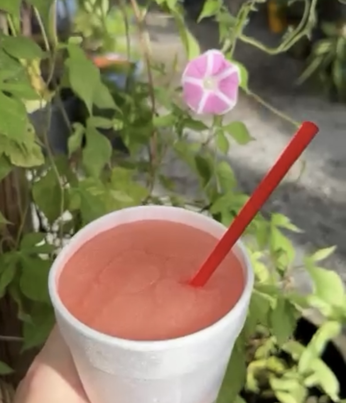 A picture of Hurricane cocktail.