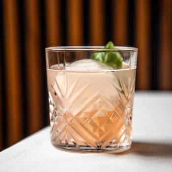Gin Cocktail St. John Award Winning Restaurant New Orleans